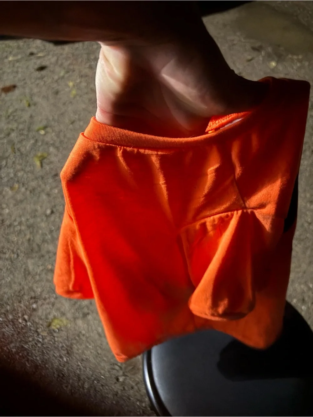 Dog Orange Jack-O'-Lantern Costume Shirt - Unbranded